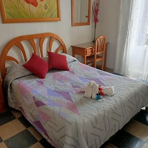 Kamer met een King Size Bed